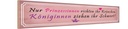 Holzschild 10x46 cm Prinzessinnen richten Krönchen Spruch Zitat