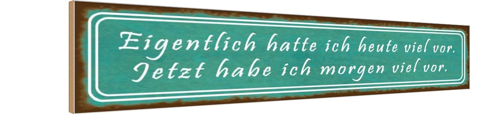 Holzschild 10x46 cm ich hatte heute viel vor Spruch Zitat