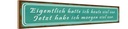 Holzschild 10x46 cm ich hatte heute viel vor Spruch Zitat