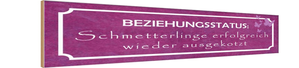 Holzschild 10x46 cm Beziehungsstatus Schmetterlinge Spruch Zitat