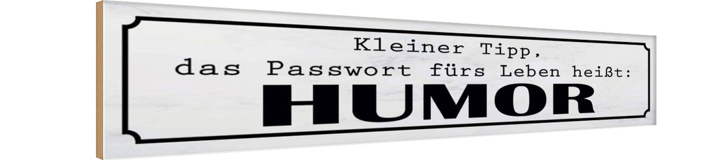 Holzschild 10x46 cm Passwort fürs Leben heißt HUMOR Spruch Zitat