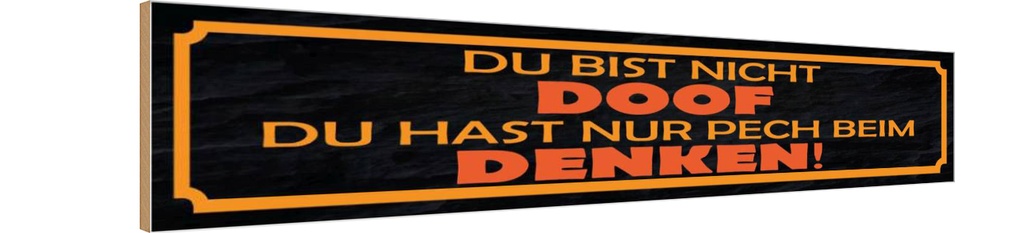 Holzschild 10x46 cm du bist nicht doof nur Pech Spruch Zitat