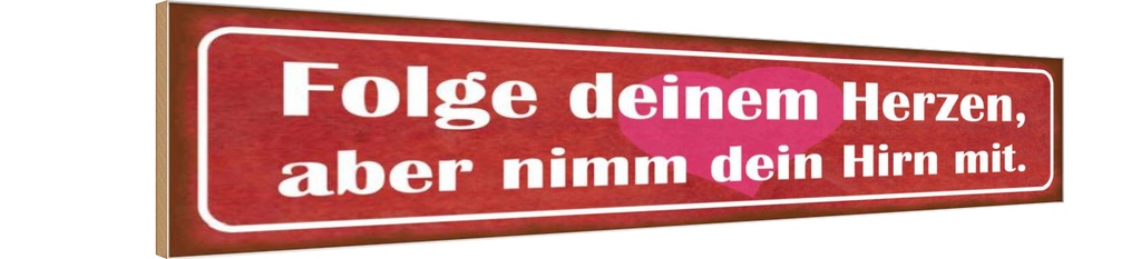 Holzschild 10x46 cm folge deinem Herzen nimm Hirn Spruch Zitat