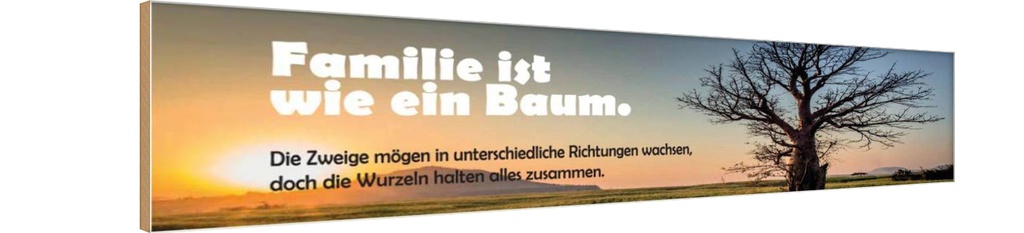 Holzschild 10x46 cm Familie ist wie Baum die Zweige Spruch Zitat
