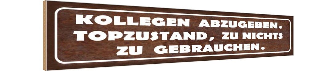 Holzschild 10x46 cm Kollegen abzugeben Topzustand Spruch Zitat
