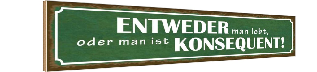Holzschild 10x46 cm entweder man lebt oder Spruch Zitat
