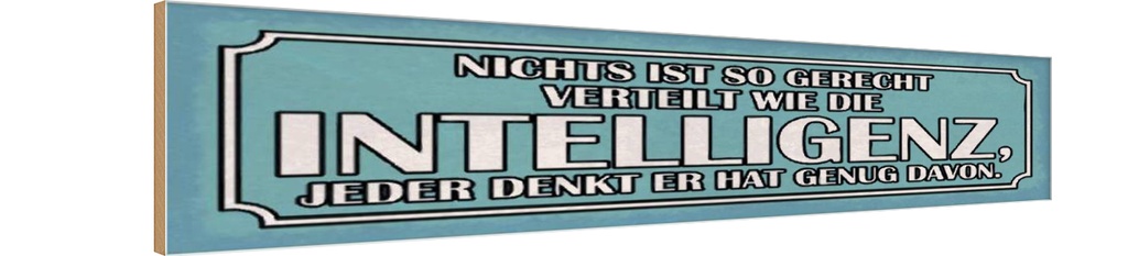 Holzschild 10x46 cm Intelligenz gerecht verteilt Spruch Zitat