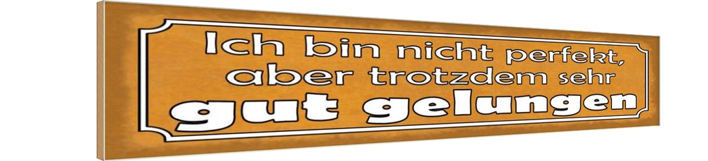 Holzschild 10x46 cm bin nicht perfekt gut gelungen Spruch Zitat