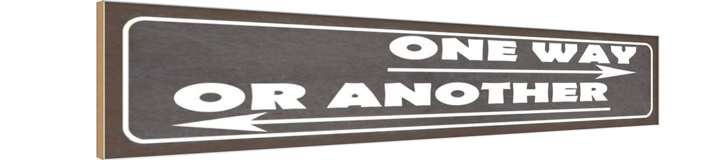 Holzschild 10x46 cm one way or another Dekoration
