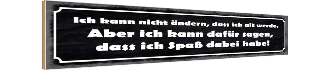 Holzschild 10x46 cm ich kann nicht ändern alt werde Spruch Zitat
