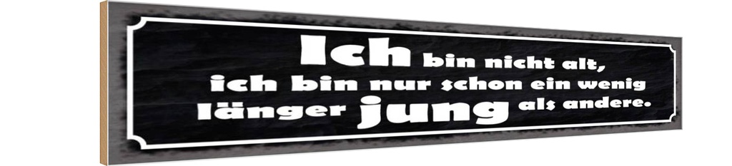 Holzschild 10x46 cm bin nicht alt länger jung Spruch Zitat