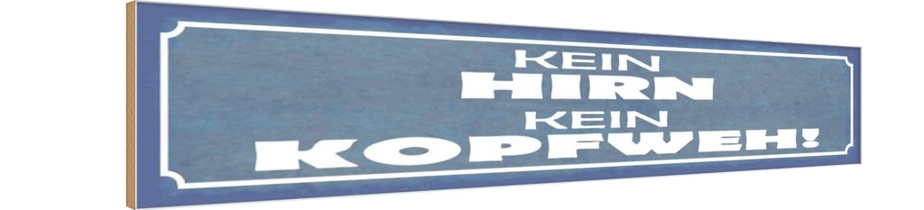 Holzschild 10x46 cm kein Hirn Kopfweh Spruch Zitat