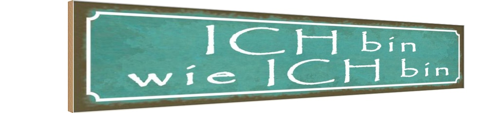 Holzschild 10x46 cm ich bin wie Spruch Zitat