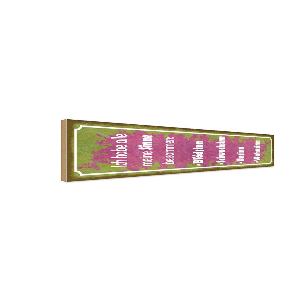 Holzschild 10x46 cm habe alle meine Sinne beisammen Spruch Zitat