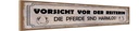 Holzschild 10x46 cm Vorsicht vor der Reiterin Pferde Spruch Zitat
