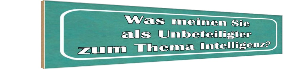 Holzschild 10x46 cm Thema Intelligenz Ihre Meinung Spruch Zitat