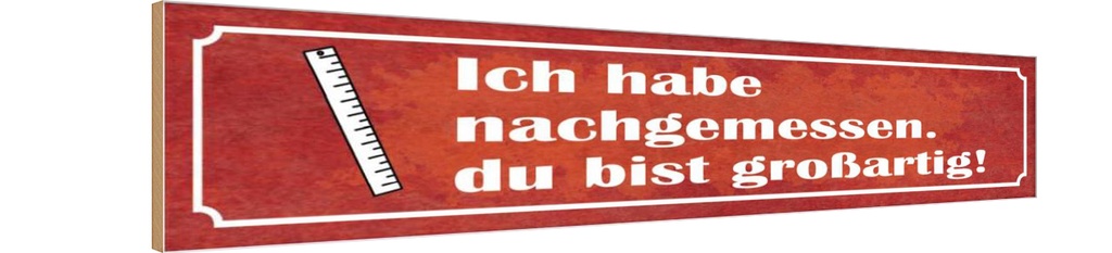 Holzschild 10x46 cm nachgemessen du bist großartig Spruch Zitat