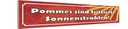 Holzschild 10x46 cm Pommes frittierte Sonnenstrahlen Spruch Zitat