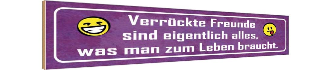 Holzschild 10x46 cm verrückte Freunde sind alles was Spruch Zitat