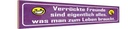 Holzschild 10x46 cm verrückte Freunde sind alles was Spruch Zitat