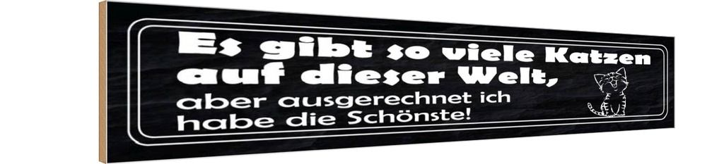 Holzschild 10x46 cm es gibt so vile Katzen auf Welt Spruch Zitat