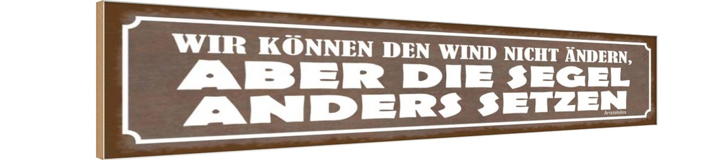 Holzschild 10x46 cm Wir können den Wind nicht ändern Spruch Zitat