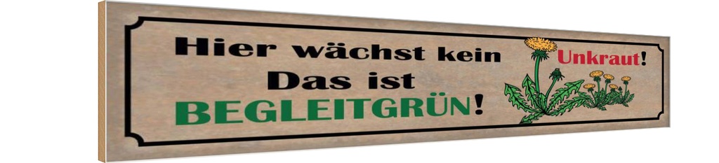 Holzschild 10x46 cm hier wächst kein Unkraut das ist Spruch Zitat