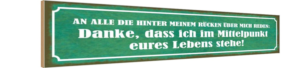 Holzschild 10x46 cm die hinter meinem Rücken reden Dekoration