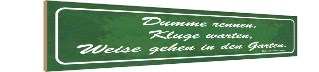 Holzschild 10x46 cm Dumme rennen Kluge warten Garten Spruch Zitat