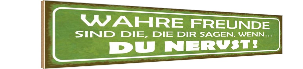 Holzschild 10x46 cm wahre Freunde sagen du nervst Familie