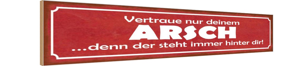 Holzschild 10x46 cm vertraue nur deinem Arsch denn Dekoration