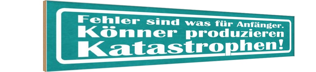 Holzschild 10x46 cm Fehler sind für Anfänger Könner Spruch Zitat