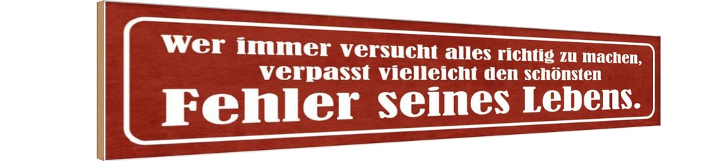 Holzschild 10x46 cm schönster Fehler seines Lebens Dekoration
