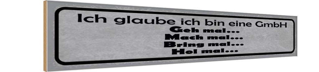 Holzschild 10x46 cm ich glaube bin eine GmbH geh mal Spruch Zitat