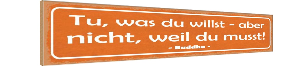 Holzschild 10x46 cm tue was du willst aber nicht Dekoration