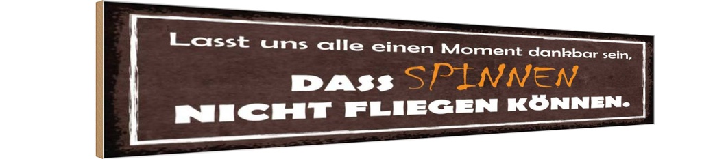 Holzschild 10x46 cm spinnen nicht fliegen können Dekoration