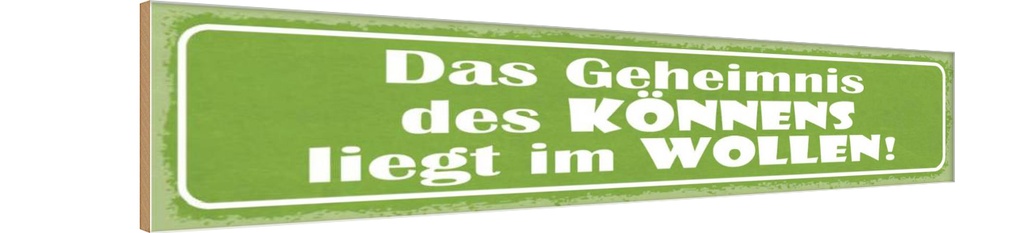 Holzschild 10x46 cm Geheimnis des Könnens im Wollen Spruch Zitat