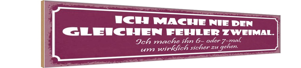 Holzschild 10x46 cm nie den gleichen Fehler zweimal Spruch Zitat