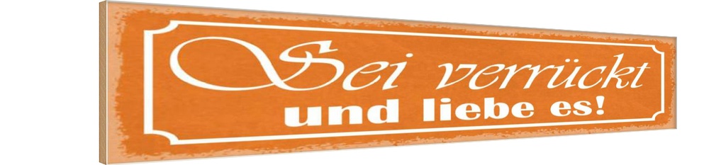 Holzschild 10x46 cm sei verrückt und liebe es Dekoration