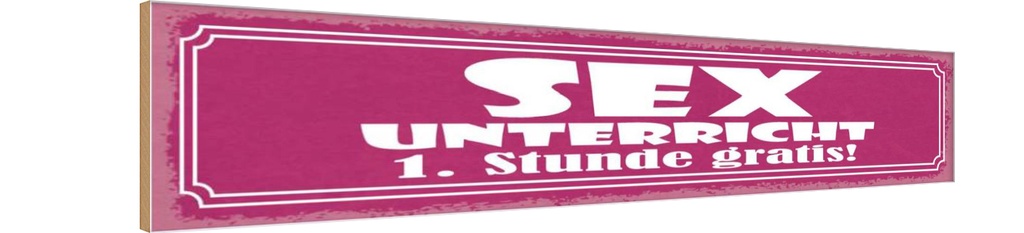 Holzschild 10x46 cm Sex Unterricht 1. Stunde gratis Spruch Zitat