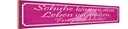 Holzschild 10x46 cm frag Cinderella Schuhe verändern Spruch Zitat