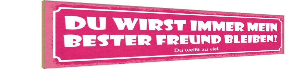 Holzschild 10x46 cm Du wirst bester Freund bleiben!