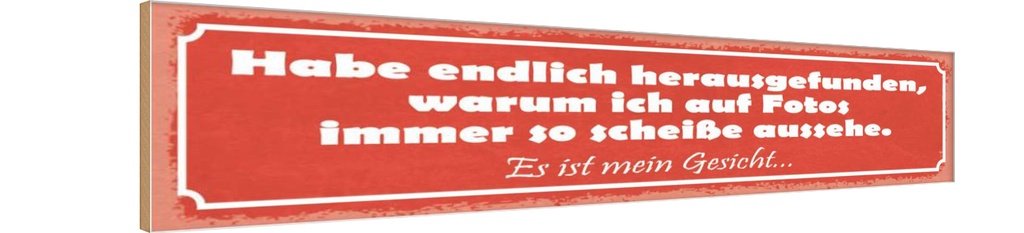 Holzschild 10x46 cm Habe endlich herausgefunden, warum