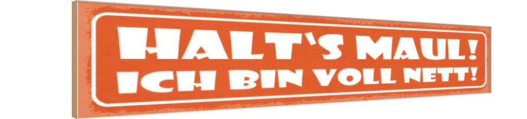 Holzschild 10x46 cm halt`s Maul ich bin voll nett