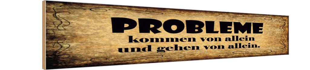 Holzschild 10x46 cm Problem kommen gehen von allein