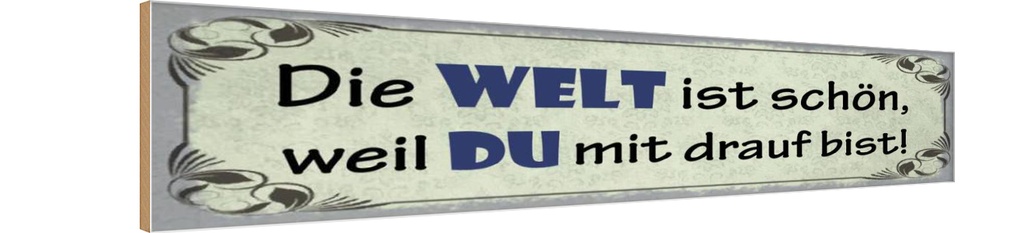Holzschild 10x46 cm Die Welt schön weil Du mit drauf