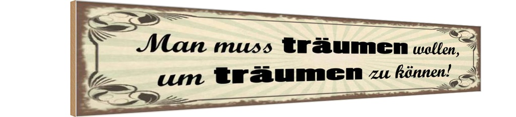 Holzschild 10x46 cm Muss träumen wollen um zu können