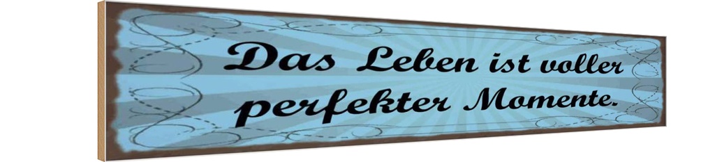 Holzschild 10x46 cm Leben voller perfekter Momente