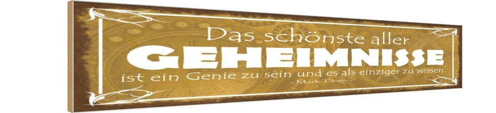 Holzschild 10x46 cm Genie sein und einzige wissen