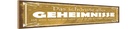 Holzschild 10x46 cm Genie sein und einzige wissen